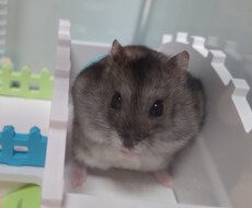 気兼ねなく話します イメージ1