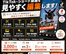 TikTok・ショート動画を見やすく編集します イメージ1