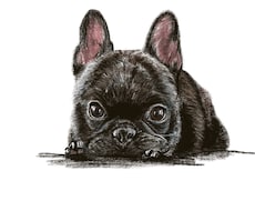 愛するわんちゃんを世界に一つのアートにします イメージ1