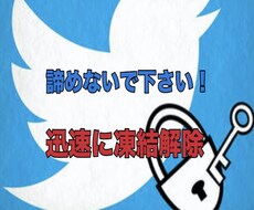 Twitter凍結解除サポートします 成功報酬！迅速対応！大切なアカウントを復活させます