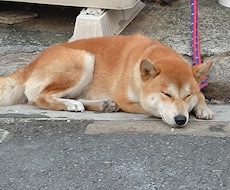 現役JKが愚痴とか色々聞きます イメージ1