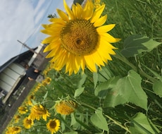 どんなお話でも真摯にうけとめます イメージ1
