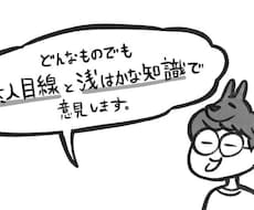 どんなものでも素人目線と浅はかな知識で意見します イメージ1