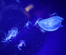 人に言えない悩みや愚痴の話を聞きます イメージ1