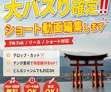 TikTok・インスタ用ショート動画編集します イメージ1