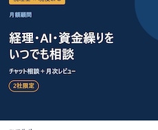 税理士×CFOに経理とAIを毎月相談できます イメージ1