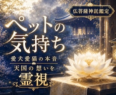 ペット気持ち霊視します 亡くなったあの子も占います 仏眼霊視で愛するペットの心の声や、亡き愛猫犬の想いを届けます