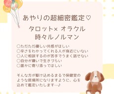 残り14名様◇タロット×オラクルで超細密に占います 恐れ入りますが現在事前相談いただいた方のみ購入可能です