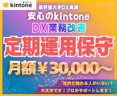 動画付き！kintoneの運用保守をサポートします 構築後の修正や現場の質問対応まで、ITのプロが丸ごと伴走