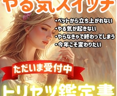 後回し、やる気が出ない理由を鑑定書で解決いたします イメージ1