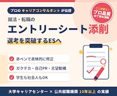就職活動におけるエントリーシートを添削・改善します イメージ1
