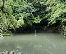 未来の運勢から【タロット】アドバイスをお伝えします イメージ1
