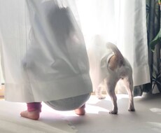 潰瘍性大腸炎でも未来に希望が持てる方法を伝えます イメージ1