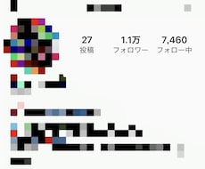 Instagramのフォロワーを1万人にさせます イメージ1
