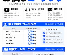 世界大会経験コーチがあなたの課題を徹底指導します イメージ1