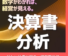 忙しい社長に代わって、決算書をわかやすく分析します 忙しい社長のための！サクッと決算書分析サービスです。