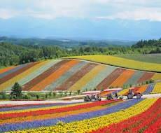 あなただけの特別な北海道旅行を約束します イメージ1