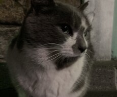 あなたと時間が許すまでお話しします イメージ1