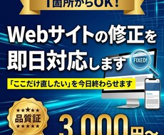 Webサイトの修正を即日対応します イメージ1