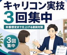 キャリコン実技をまとめて3回集中練習で仕上げます イメージ1