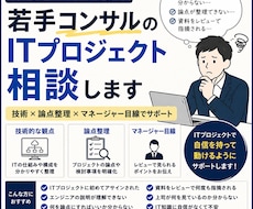 若手コンサルのITプロジェクト相談を受け付けます イメージ1