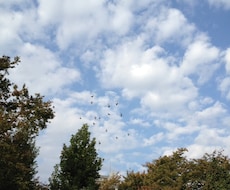 個人情報は一切ナシ. あなたのすすむ道を導きます 過去・現在・未来の3枚（無料時代の永久保存版）