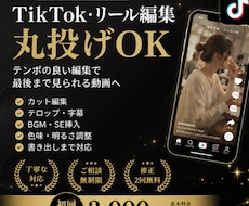 TikTok運用を丸ごと代行します イメージ1