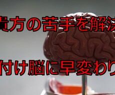 貴方の脳が片付けにおいて苦手な部分を見つけます 部屋を散らかしてしまう原因である脳を鍛えて解決！