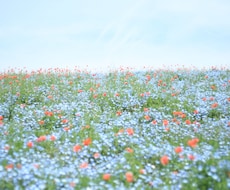 誰でもどうぞ。悩み、恋愛相談、愚痴聞きます イメージ1