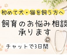 初めての犬猫飼育についてご相談承ります イメージ1