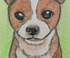 犬の似顔絵 イラスト風に描きます。