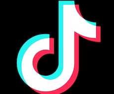 TikTok動画の企画、台本を制作します イメージ1