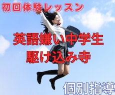 初回体験【中学生】英語家庭教師します 【学校の教科書を徹底・英語勉強方法】心理学・傾聴を学んだ講師