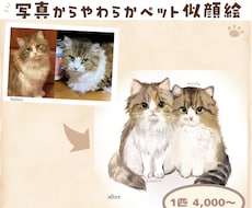 愛するペット　可愛く描きます イメージ1