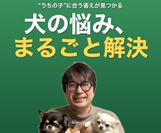 犬の悩み解決｜数万件に答えた犬のプロが整理します しつけ・無駄吠え・お手入れ・ごはん、犬の悩みを解決します。