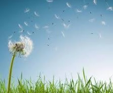 とにかく聞いて欲しい、、お悩み何でも聞きます 周りの人には中々話せない、、どんな些細な事でもいいですよ