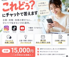 SNS運用の「これどう？」にチャットで答えます イメージ1