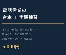 電話営業の台本作成と30分の練習を支援します イメージ1