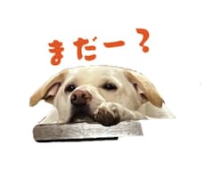大切なペットのLINEスタンプお作りします イメージ1