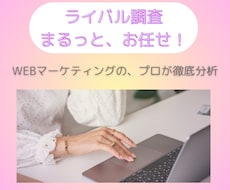 競合リサーチ＆ネット調査プロが、まるっと引受けます イメージ1