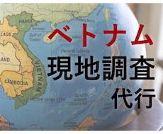 ベトナム現地調査を専門家が代行します ベトナム在住歴10年・現地取材に基づくリアルなレポート