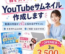 目を引くYouTubeサムネイルを制作します イメージ1