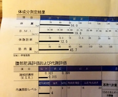 食事を調整してダイエットのアドバイスします 運動せずに健康的に痩せたい方へ