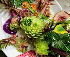 現役管理栄養士がお答えします イメージ1