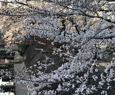 あなたの話し相手になります イメージ1