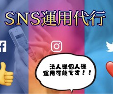 SNS運用代行【1ヶ月】します イメージ1