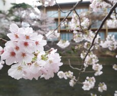あなたの恋愛相談にのります イメージ1