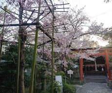 神社の御由緒調べます イメージ1