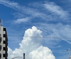 必要な写真を撮ります イメージ1