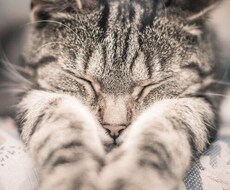 人に話しにくい悩み聞きます 人に話しにくい悩み相談相手になります